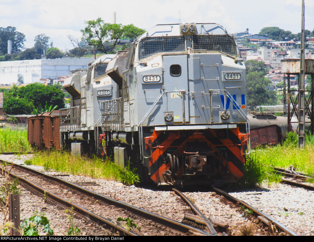 VLI 8431
